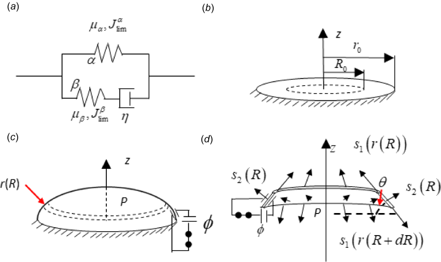 visco elastic elastomer